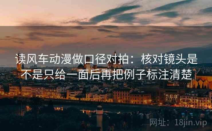 读风车动漫做口径对拍：核对镜头是不是只给一面后再把例子标注清楚  第1张