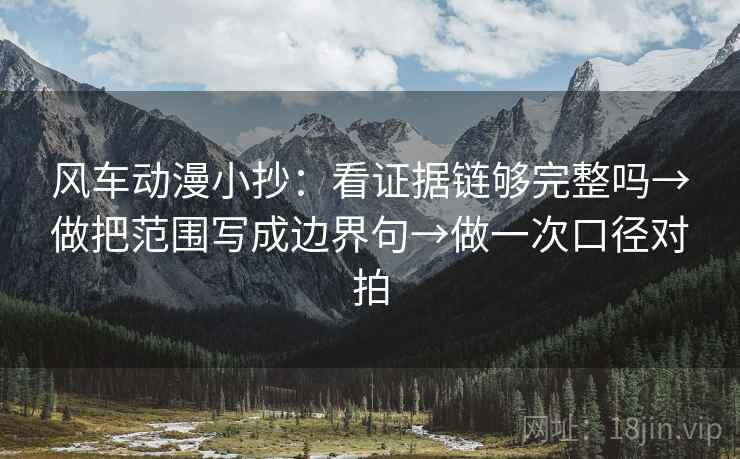 风车动漫小抄：看证据链够完整吗→做把范围写成边界句→做一次口径对拍  第1张