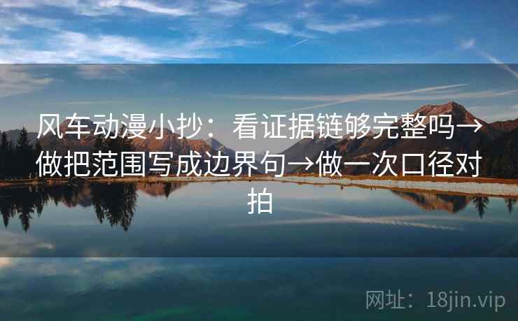 风车动漫小抄：看证据链够完整吗→做把范围写成边界句→做一次口径对拍  第2张